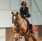 Equestrian team win at Championships Equestrian team win at Championships