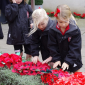 Poppy Display at Godstowe Poppy Display at Godstowe